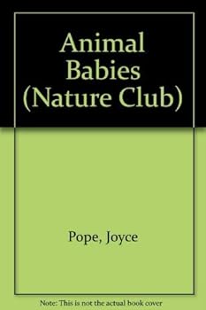 Paperback Animal Babies (Nature Club) Book