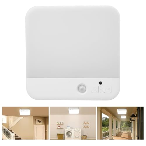 Plafonnier à détecteur de mouvement LED FTVOGUE télécommandable