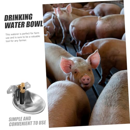 Toddmomy Tigela Automática De Água Potável Para Vacas Bebedouro Para Vacas De Fazenda Alimentador De