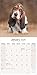 Basset Hound 2026 Calendar | Square Wall Calendar | Dog Breed Gift | Plastic Free Packaging | by Avonside Publishing