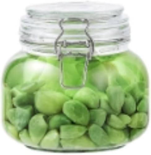 AZIEBAY ガラスびん 果実酒用 密封保存瓶 大容量 ドリンクディスペンサー 蛇口付き ガラス製 梅酒・ジュース・ビールサーバー用|安心してお選びください