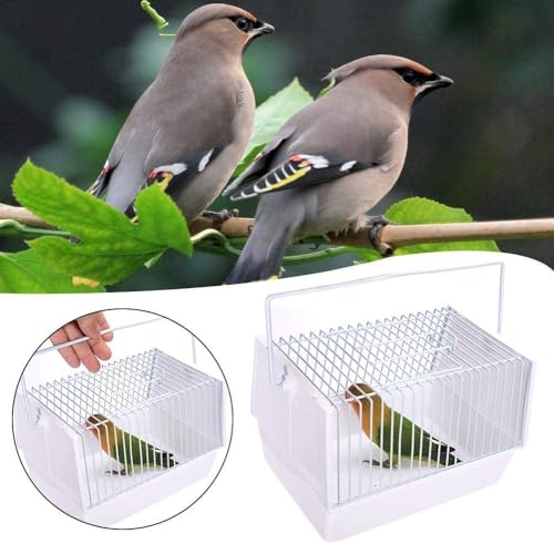 Cage de voyage pour petits oiseaux, avec 2 mangeoires, cage de transport portable pour petits animaux – Image 4