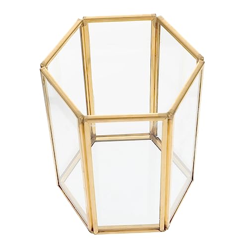 ERINGOGO KXCNuVz_[ ϕi[P[X zCgp[t WȂ CNAbvpi oX[ hbT[p eD