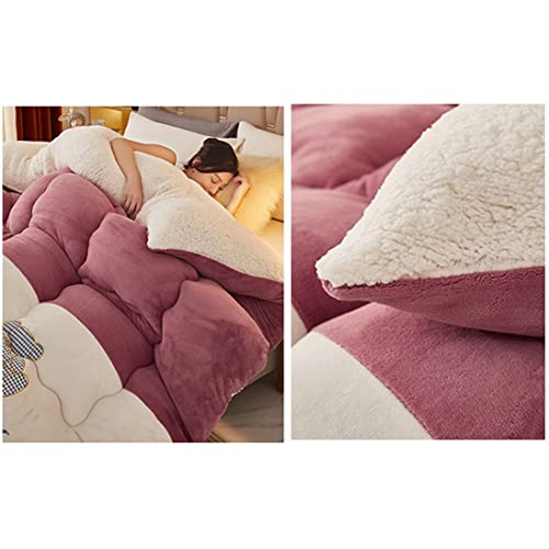 Tauzveok Cozy Thicker Warmth Quilt Comforter, Soft Super Thick Winter Warm Blanket Artificial Lamb Cashmere Weighted Blankets for Beds,Dousha a,180 * 220 4kg