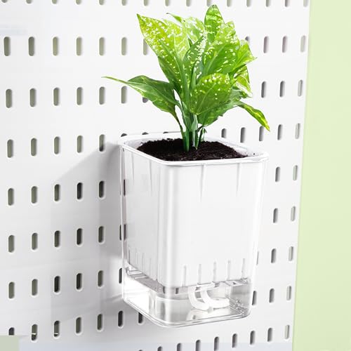Image of ABOUT SPACE Peg Board Accessories Self Watering Pot - Floating Plant Pot | Indoor Plants Pots for Home, Office, Kitchen, Living Room - Only Planter Flower Pot (White-L 10 x B 10 x H 14 cm) - Large