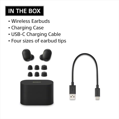 Sony WF-1000XM6 Black thumbnail 10