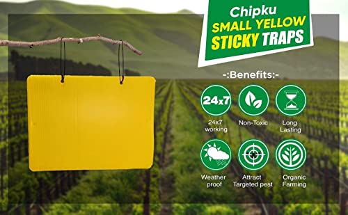 Image of Chipku A5 Yellow Sticky Trap for Insects Pack of 25 Sheets| for Garden & Agriculture to Control Whiteflies, Aphids, Thrips, Jassids| Fly Catcher Insect Catcher Glue Trap for 100% Results