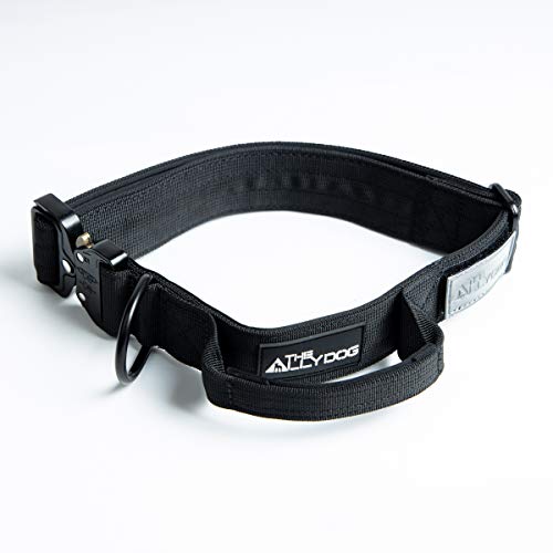 Best Staffy Collars [Top 5 Collars for Staffies in 2022]