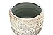 Bloomingville Embossed Stoneware Planter with Reactive Glaze, Beige