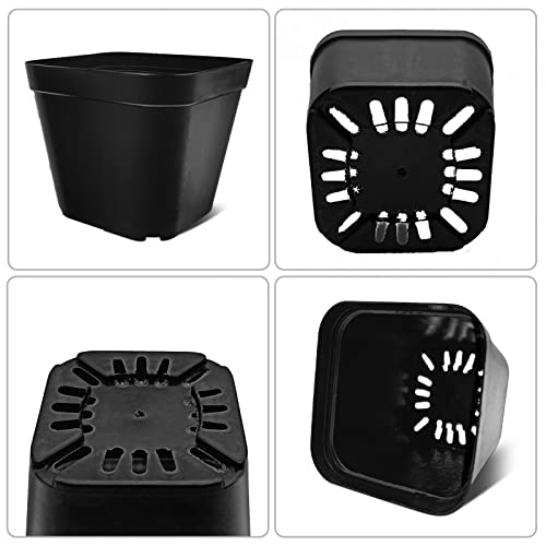 WAIZHIUA 50Pcs Plant Flower Pots 10cm Plastic Square Plant Nursery Pots Small Flower Plant Container for Succulent Fruit Vegetable Seedlings Transplanting - Image 3