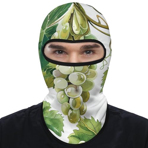 Balaclava para Hombres y Mujeres, Máscara de Esquí con Brillo al Sol, Cubreboca Integral para Ciclismo miniatura 1