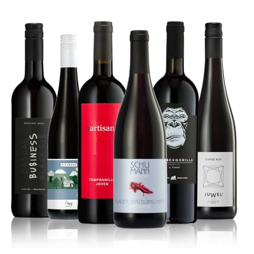 Osborne Solaz Tempranillo & Cabernet Sauvignon Trocken (1 x 0,75l) - Fruchtiger Rotwein aus der spanischen Wein-Region Tierra de Castilla 3 GEILE WEINE Weinpaket Rotwein trocken (6 x 0,75) Probierpaket mit Rotweinen von Winzern aus Deutschland, Spanien, Portugal und Frankreich