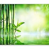 muro bambu jardin CARACTERÍSTICAS: Nuestro papel pintado tejido no tejido es de alta calidad alemana, no se arruga, no aparecen pliegues ni burbujas de aire. Fotomurales sin olor, de superficie lisa, sin relieve