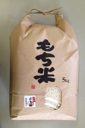 VY ˂   ߘa6NY ĊẺl (5kg)