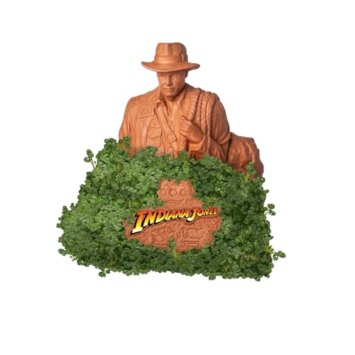 Chia Pet Indiana Jones with Seed Pack, Decorative Pottery Planter, Easy to Do and Fun to Grow, Novelty Gift, Perfect for Any Occasion