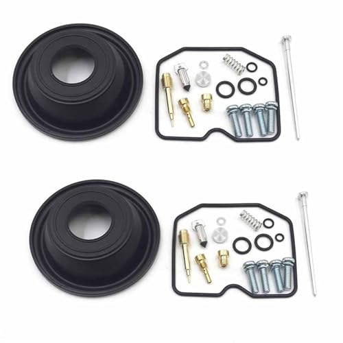 Evita fugas de gasolina con el kit de carburador para Kawasaki Vulcan 500 LTD