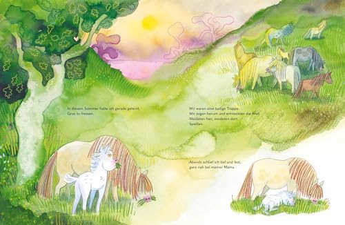 Wild - Ein kleines Pferd braucht Freiheit: Eine Pferdegeschichte über Mut und starke Gefühle | Bilderbuch für Kinder ab 4