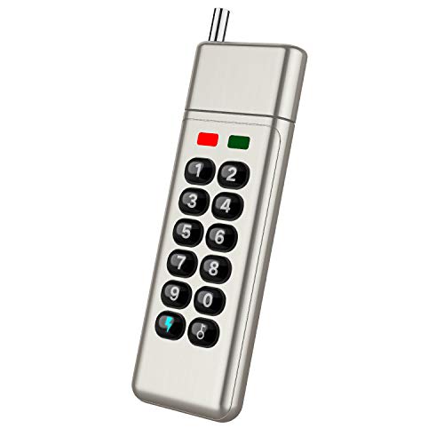 Pampfort Military Level AES 256-bit Standard Encrypted USB Drive, with Hardware Encryption Chip,Metal