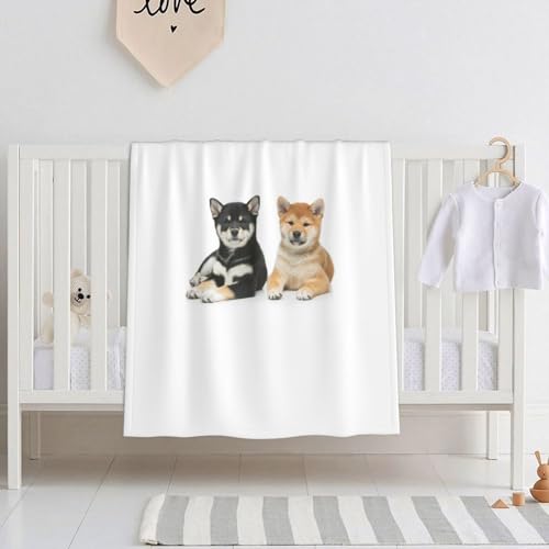 xr[ѕz Č    r[uuPbg |ѕz  uPbg ^IPbg ʋC q ۈ牀 [΍ GARpi lGʗp ?蕨 150X200cm