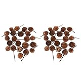 Perfecto para muchas decoraciones naturales rústicas y decoraciones de coronas, guirnaldas, decoraciones de mesa, bellamente perfumadas, caja de caramelo hecha a mano decoración de Navidad.
