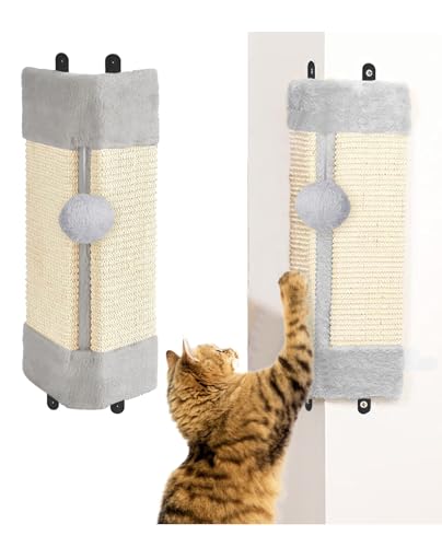 BNOSDM 2pbN L ǃR[i[ XNb`[ p L ǎt TCU XNb`{[h veN^[  h~ pbh Ƌی ybg hA\t@pϖՃ}bg