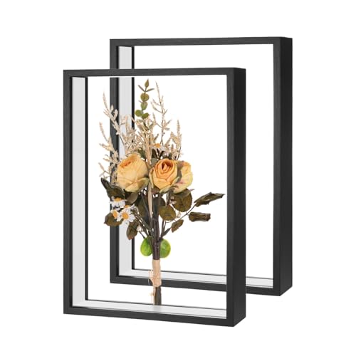 M METERXITY 2PCS Dried Flower Frame 8x12in Double Acrylic Black