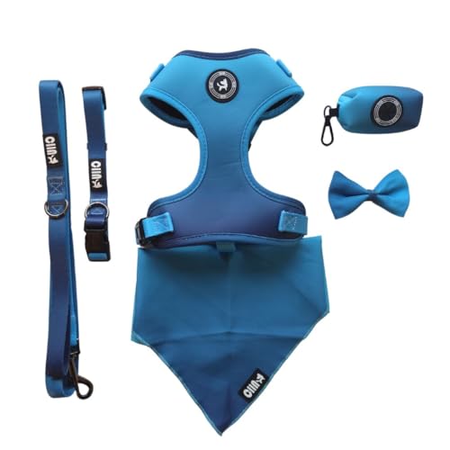Kit básico para pasear a tu perro: preparación ideal para cada salida 3 CIIN - Regalo Navidad - Set Arnes Perro Mediano con Correa, Colla...