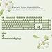 Womier Keyboard Keycaps Jelly - Ceramic Keycaps Style, Clear Creamy Matcha Green Key Cap Transparent Custom 60 65 75 100 Percent for Cherry MX, Outemu, Gateron Mechanical Keyboards (MDA Profile)