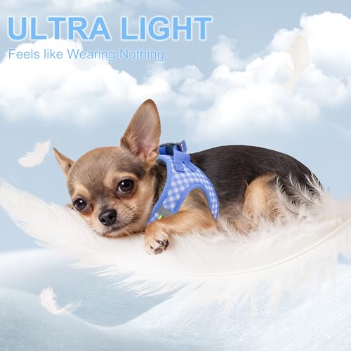 AIITLE Atmungsaktives Hundegeschirr aus Netzstoff, No-Pull-Westengeschirre mit reflektierenden Bändern, verstellbare Haustier-Outdoor-Geschirre für kleine und mittelgroße Hunde, Blau, M