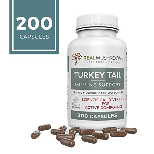 Real Mushrooms Turkey Tail Mushroom Supplements for Immune Support, Wellness, Vitality | Vegan, Non-GMO Turkey Tail Capsules (200 Capsules / 100 Day Supply) - Thumbnail 6