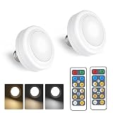 MILDWARM 2 Pack Battery Operated Light Bulbs with Remote, AAA Battery Powered Wireless LED Light Bul