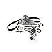 DNJ TBK952WP Timing Belt Kit with Water Pump for 1998-2005 Lexus GS300 IS300 3.0L L6 24V DOHC 2997cc