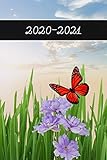  2020 - 2021: 2 Year Weekly Planner 2020 - 2021 - Flower Butterfly - Agenda Planner For The Next Two Years + 20 pages addresses + 20 pages lines + 20 pages blanco