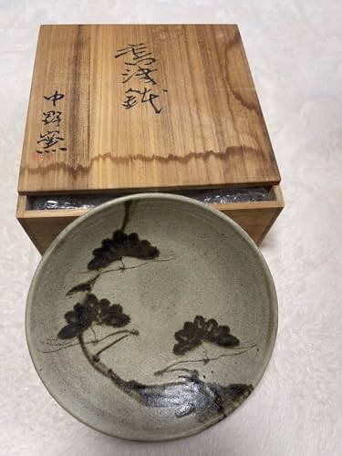 唐津焼 皿」の人気商品一覧 | 安い商品を通販サイトから探す - 価格.com