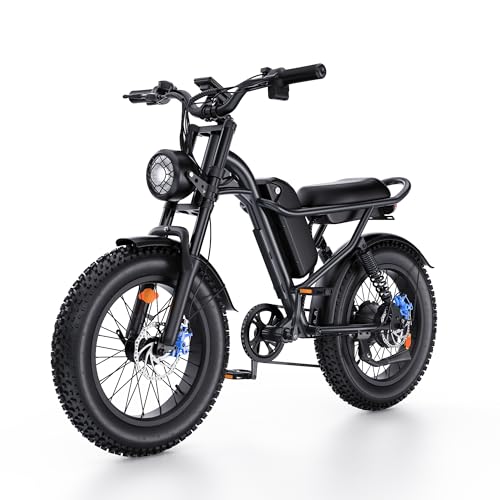 1000W Peak Motor Dual Suspension Ebike