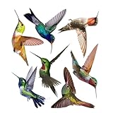 FONDOTIN 7個 蜂鳥ウォールステッカー 衝突防止用窓装飾 粘着不要自己吸着プ 壁や窓に簡単貼付 玄関 リビング向け