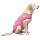 ♥ WASSERDICHT UND VERSCHIEDENE WAHL. Aus Wasserdichte Polyester und Baumwolle. Diese Jacke ist in 7 Größen und 6 Farben erhältlich.