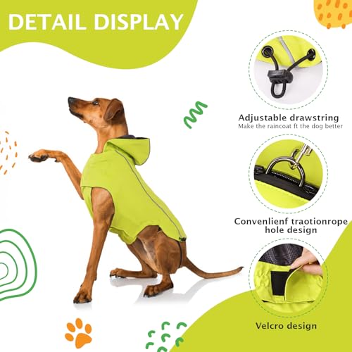Vejaoo Regenmantel Hund Wasserdicht, Reflektierend Regenjacke mit Kapuze für Hund, Verstellbare Winddicht Regenjacken für Kleine Mittelgroße Groß Hunde Spaziergäng XZ015(Grün,S)