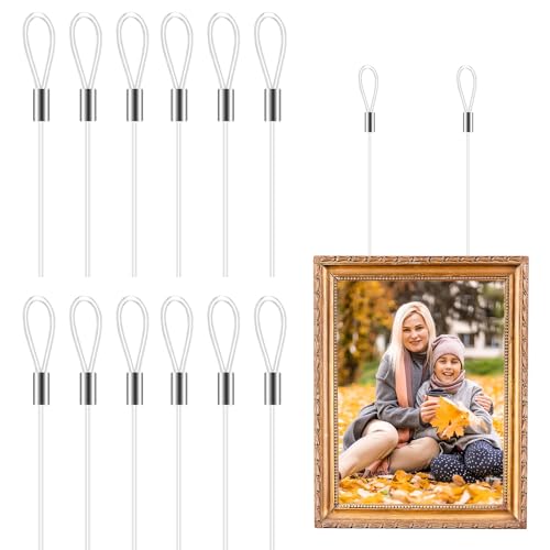 Image of KALLORY Clear Picture Hanging Wire Rope 59.05 Inch with Loops 12 Pieces Strong Hanging Cord for Frames Mirrors Clotheslines Home Decoration