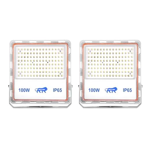 Gesto 100W Lens Flood Light – Ip66 Waterproof Led Lights with 120 Wide Beam | Halogen Light,Focus Light for Yard,Showroom,Shop, Factory,Garden,Temple,Tent, Warehouse,Playground (Cool White)-Pack of 2
