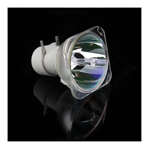 Ampoule pour InFocus SP-LAMP099 avec boitier de rechange INV30