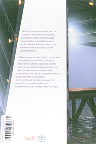 Experiência e arte contemporânea