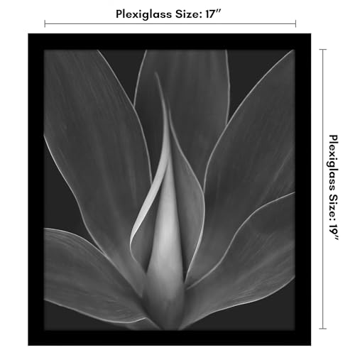 Americanflat 17x19 Picture Frame with Polished Plexiglass - Black Picture Frame - Wide Photo Frames Made of Engineered Wood for Vertical or Horizontal Wall Display - Epic Collection - Black