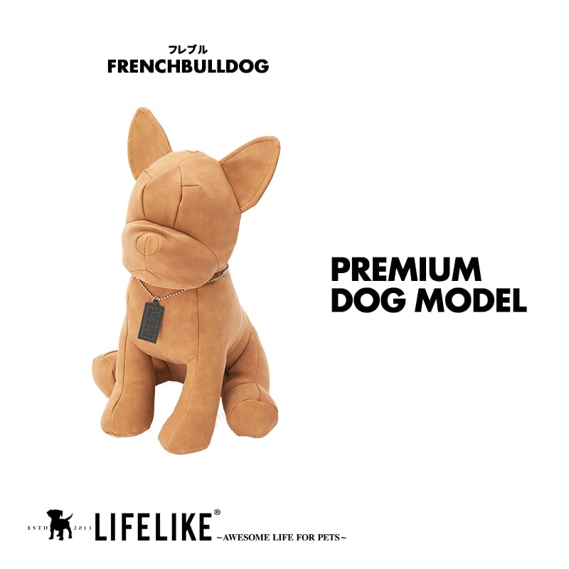 Amazon | 【LIFELIKE公式】プレミアムドッグモデル 犬 トルソー 小型犬