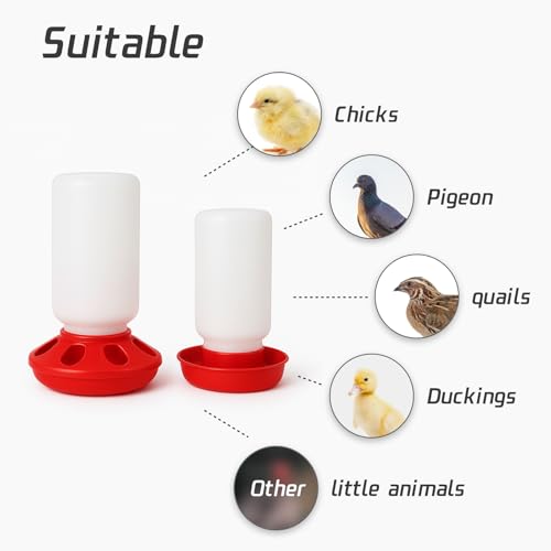 Baby Chick Feeder and Waterer Set, 1 Quart Poultry Starter Kit, No-Waste 8-Hole Feeder & Anti-Drowning Waterer, Gravity Fed Dispenser for Brooder, Chicks, Ducklings, Quail - Image 5