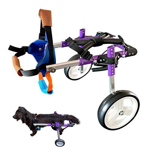 Best Dog Wheelchair For 10Reviewz