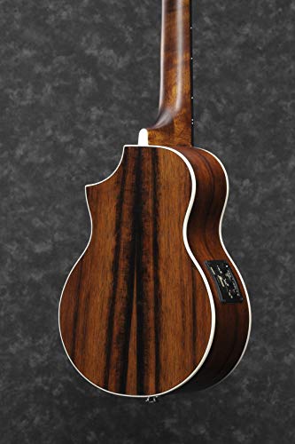 Ibanez UEW13MEE-DBO UEW Series Ukulélé électro-acoustique 4 cordes Marron foncé - Les Beatles, Paul McCartney, John Lennon, RIngo Starr, George Harrison Ibanez UEW13MEE-DBO UEW Series Ukulélé électro-acoustique 4 cordes Marron foncé – Image 7