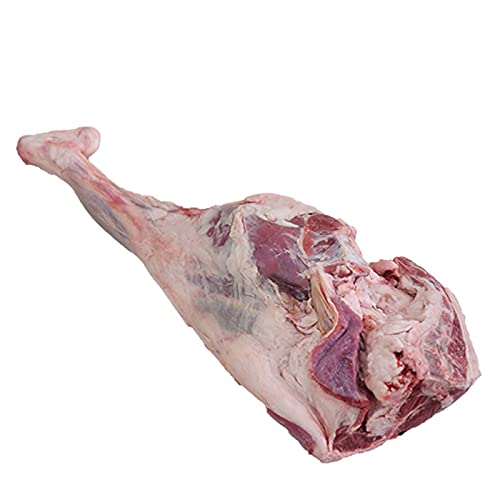 468H ytbVz  er  (t) WS tX VXgYy2.5kgUPzy①iz