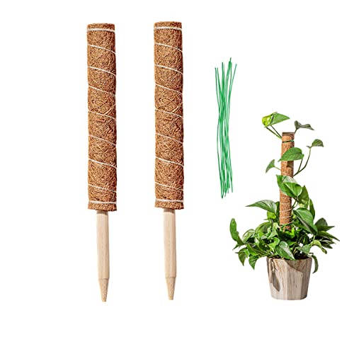 LINSOCLE 2 Piezas Tutores para Plantas Trepadoras, Palo de Tótem de Coco 40cm, Tótem de Coco, Palo...