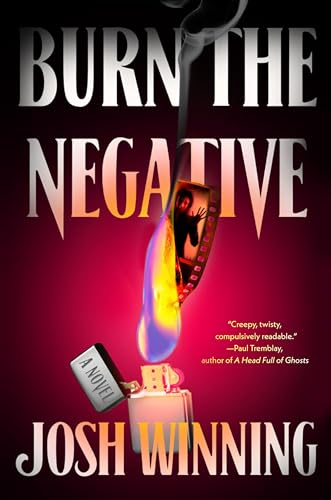 Burn the Negative view 2